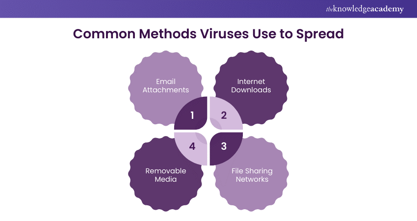 Common methods Viruses use to spread 