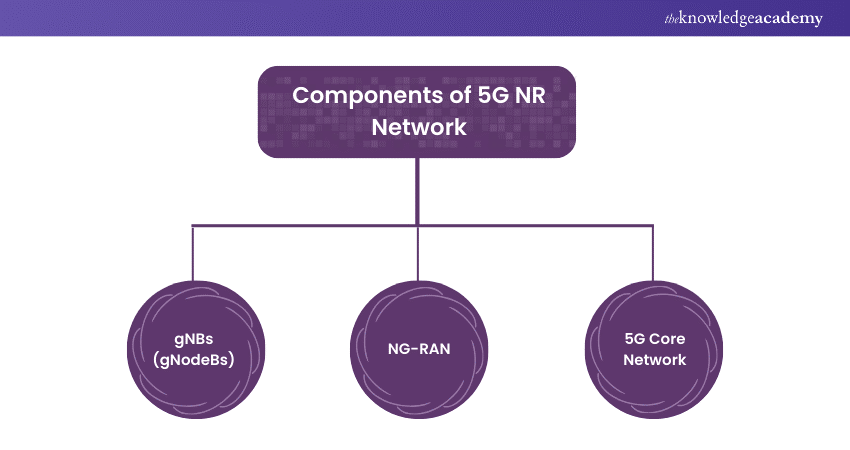 Components of 5G NR Network