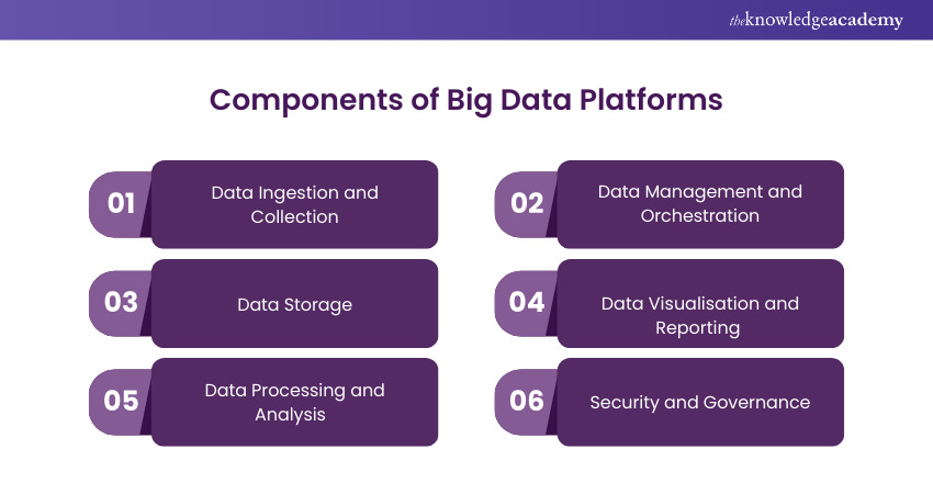 Components of Big Data Platforms 