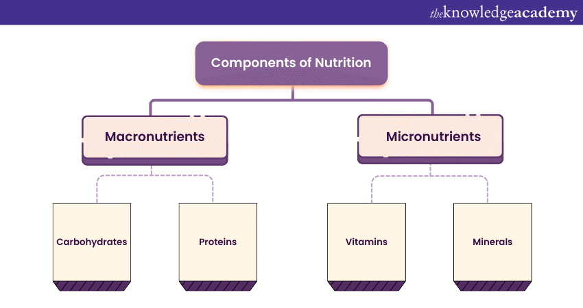 Components of Nutrition