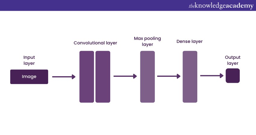 Convolutional Neural Networks (CNN)