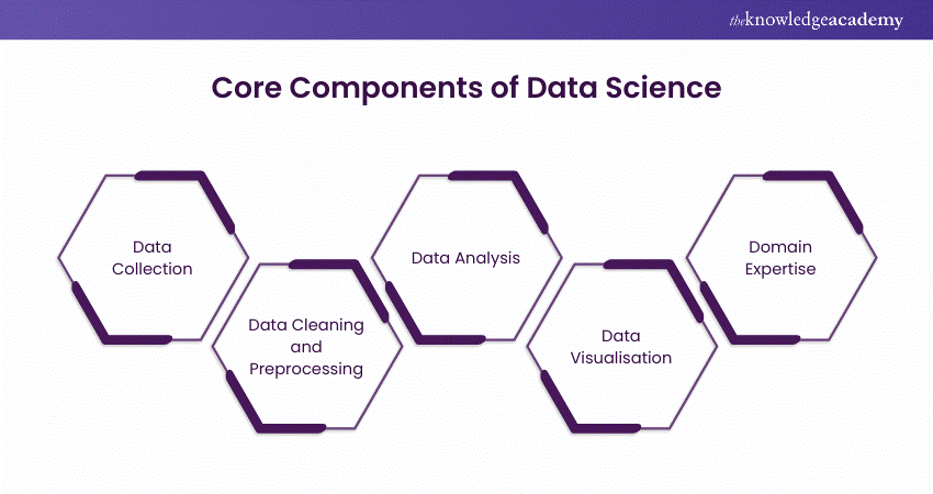 Core Components of Data Science 