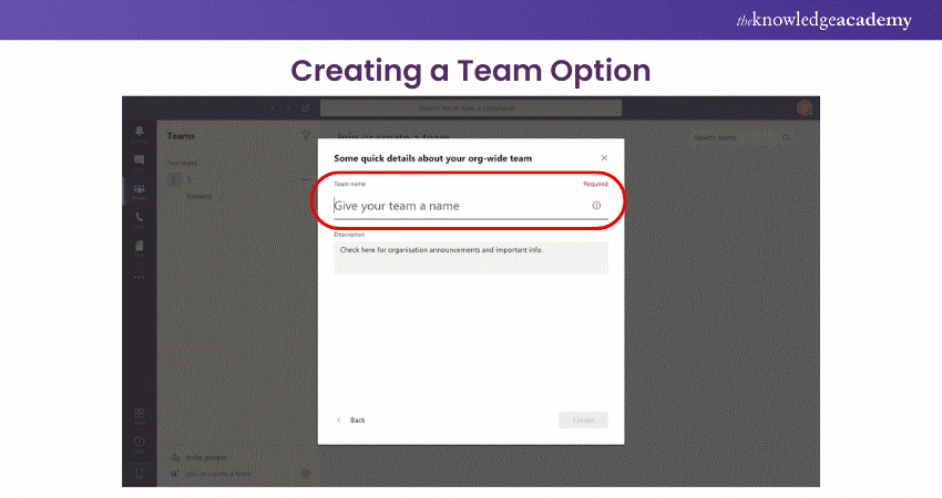 Creating a Team Option