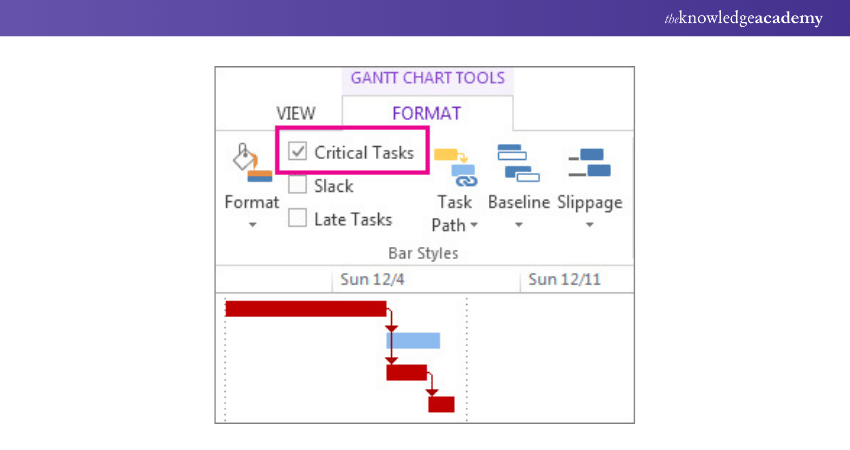 Critical Path in MS Project