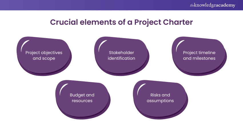 Crucial elements of a Project Charter