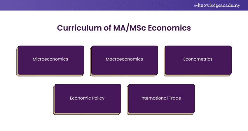 Curriculum of MA/MSc Economics