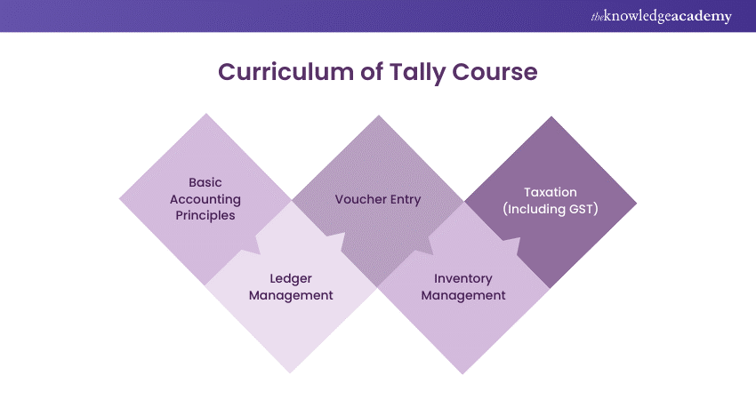 Curriculum of Tally Course