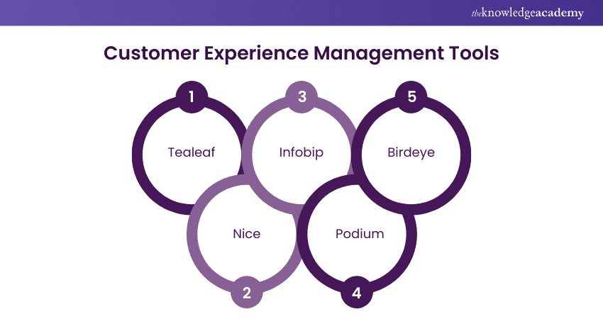 Customer Experience Management Tools