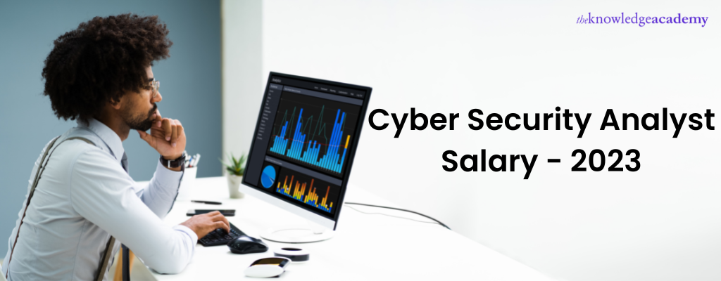Cyber Security Analyst Salary