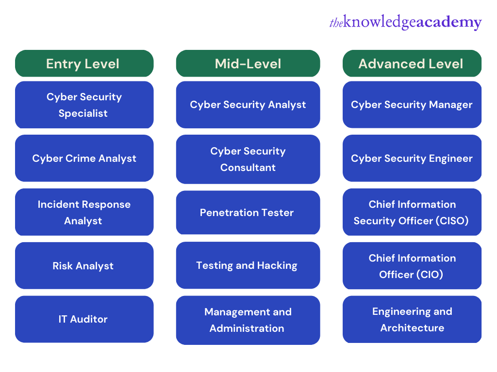 Cyber Security Career Path