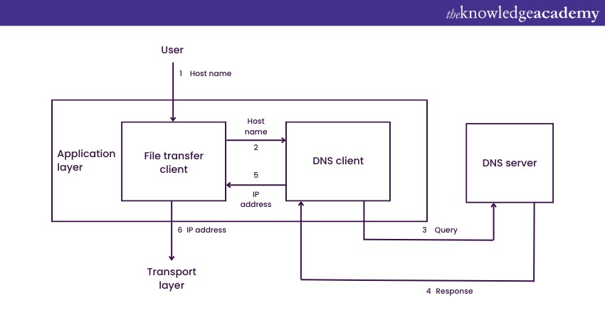 DNS Client 