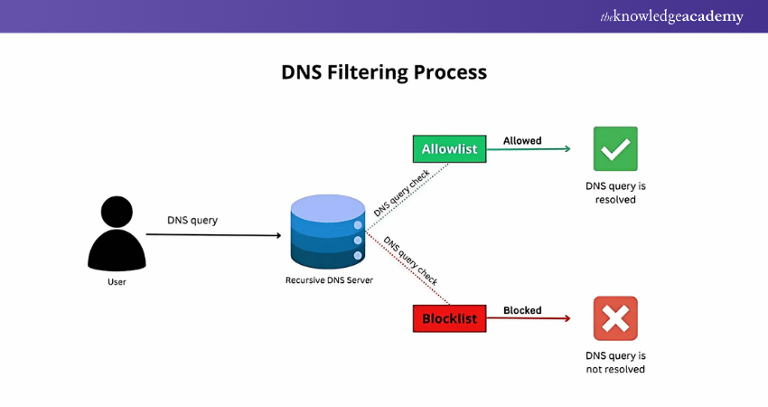 DNS Filtering Process