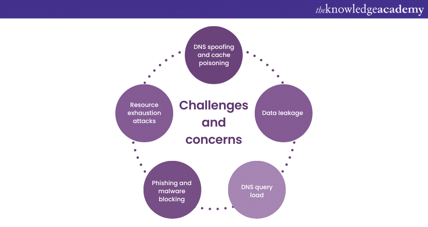 DNS in Application Layer: Challenges and concerns