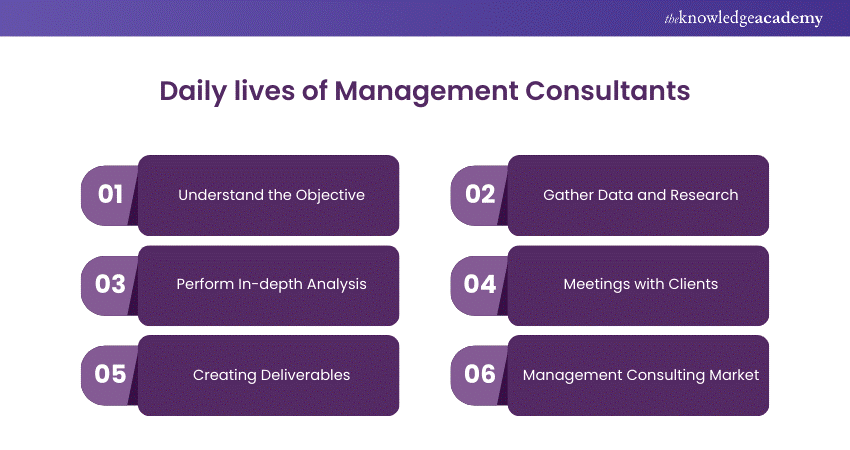 Daily lives of Management Consultants