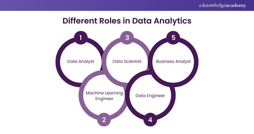 Data Analytics Roles