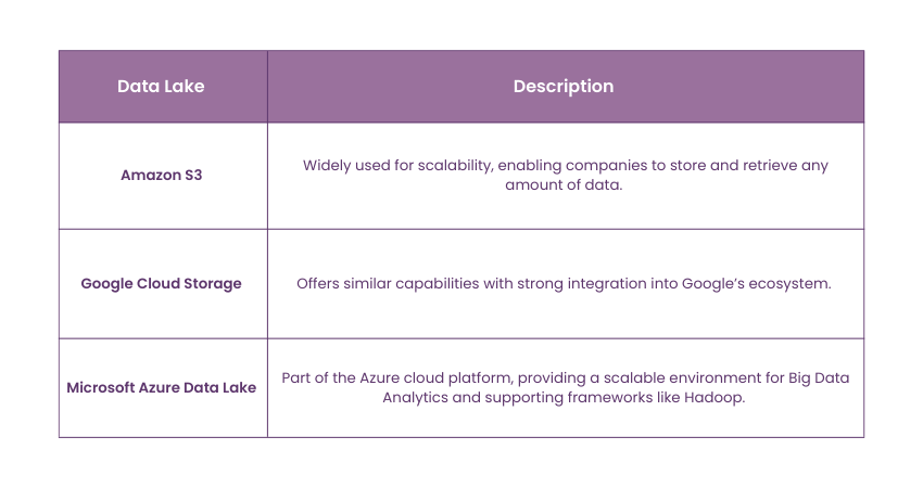 Data Lake Examples