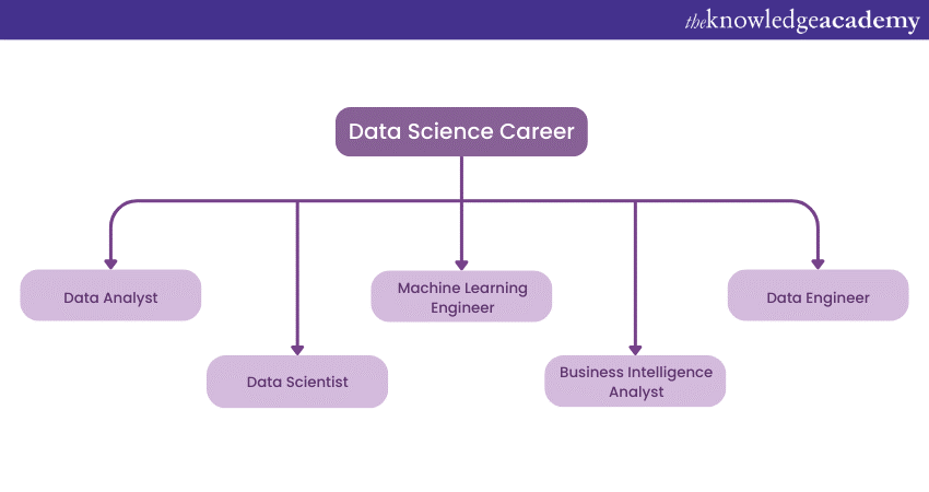 Data Science Career