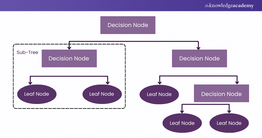 Decision Tree Algorithm