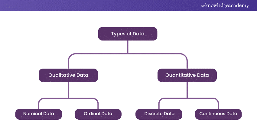 Different Types of Data in Statistics  