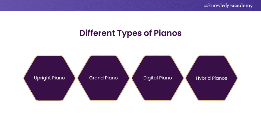 Different Types of Digital Pianos