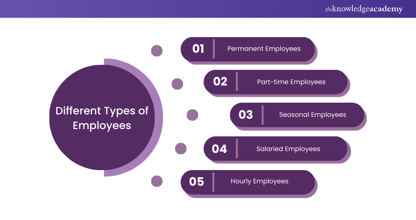 Different Types of Employees  