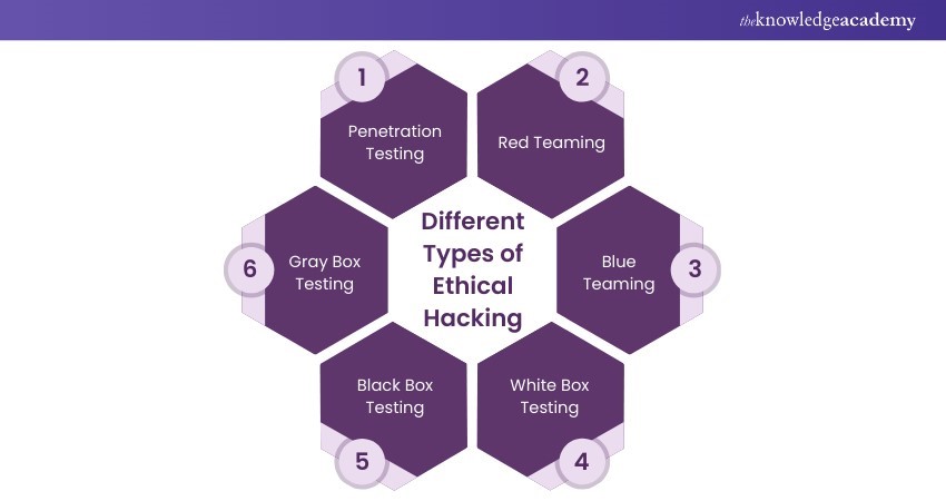Different Types of Ethical Hacking
