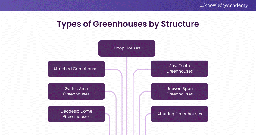 Different Types of Greenhouses by Structure