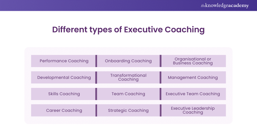 Different types of Executive Coaching