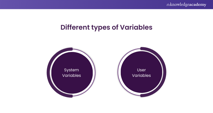 Different types of Variables