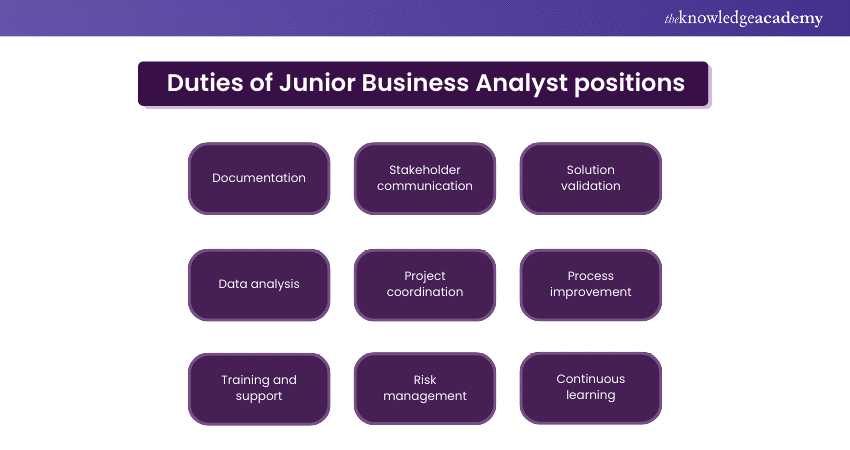 Duties of Junior Business Analyst positions