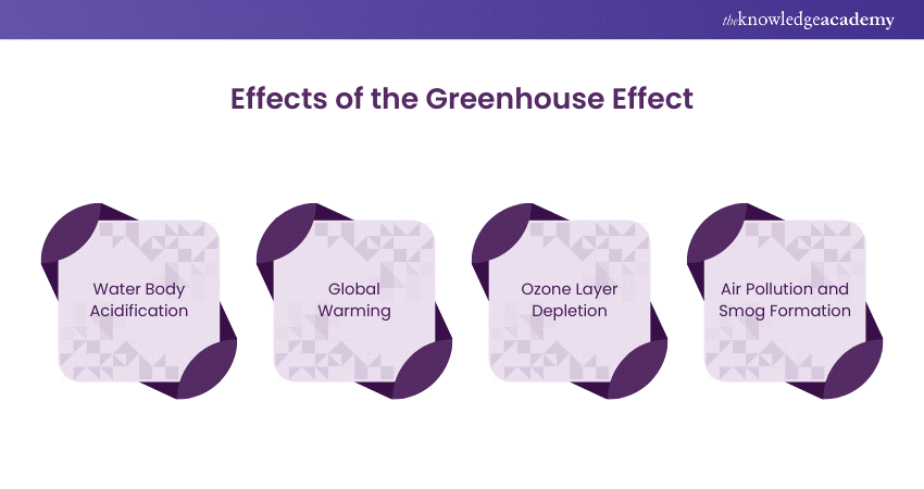 Effects of the Greenhouse Effect 