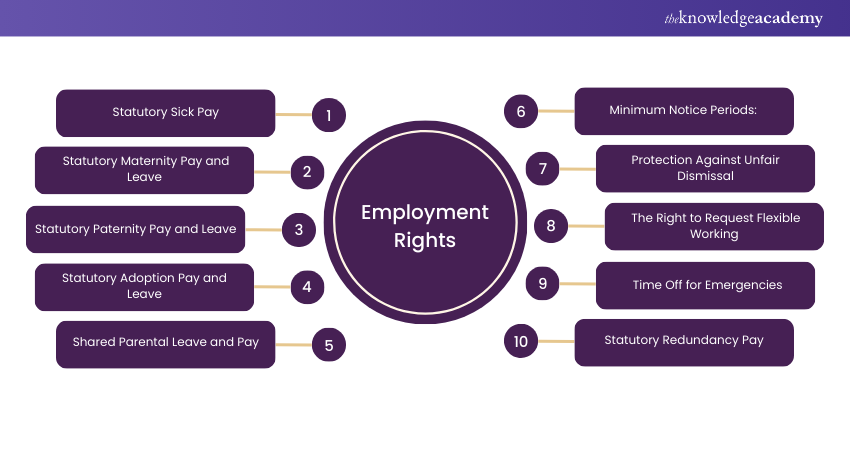 Employment Rights 