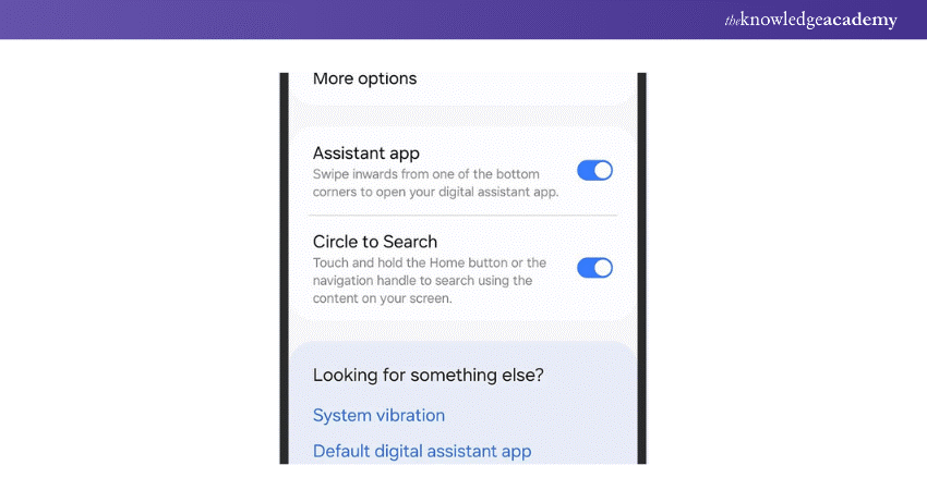 Enable Circle to Search 