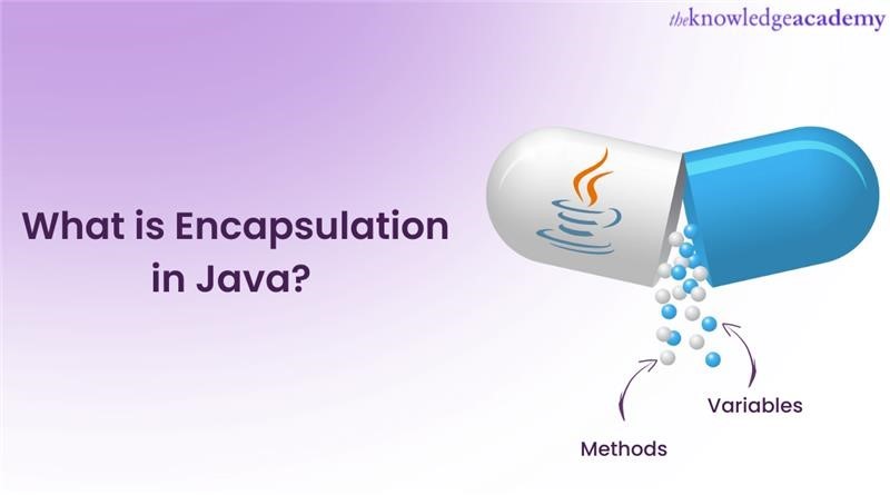 What is Encapsulation in Java? - A Complete Explanation