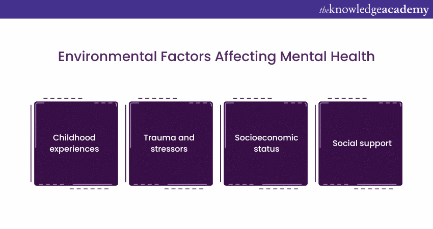 Environmental Factors Affecting Mental Health