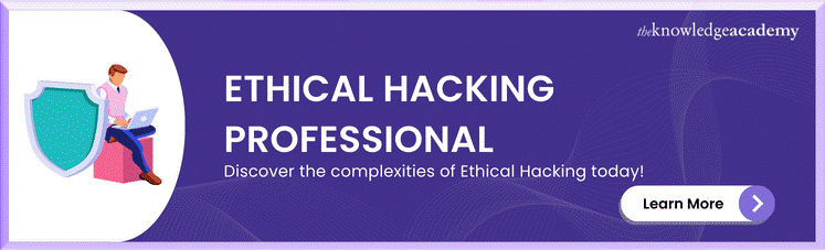 Ethical Hacking Professional 