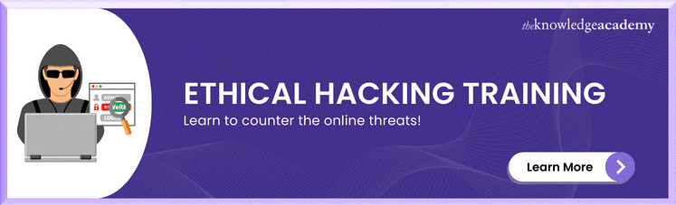 Ethical Hacking Training