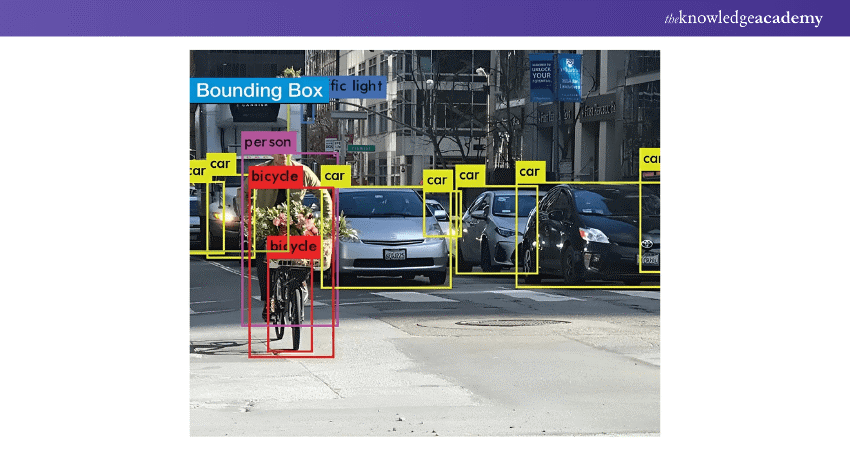 Example Bounding Box Annotations