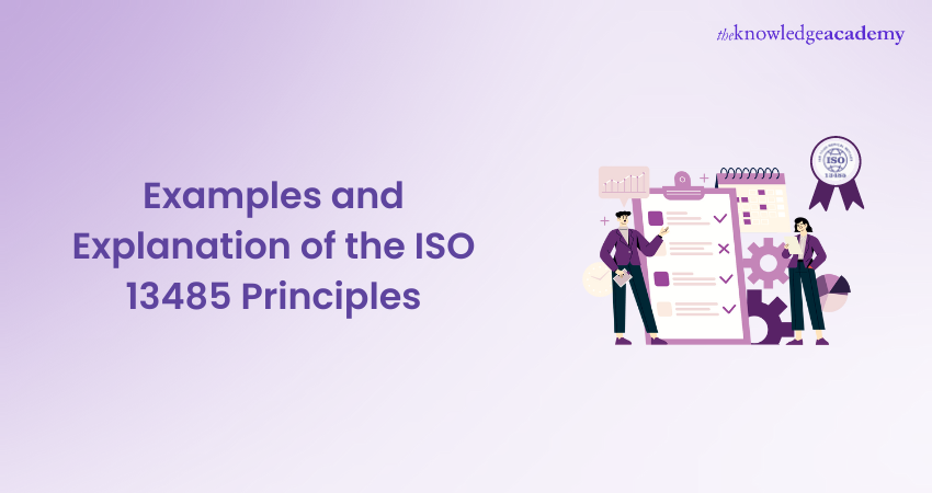 Examples and Explanation of the ISO 13485 Principles