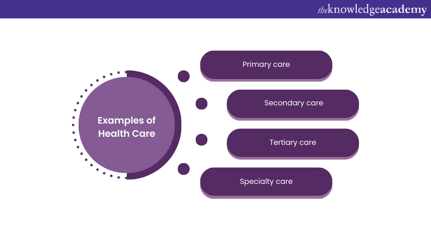 Examples of Health Care