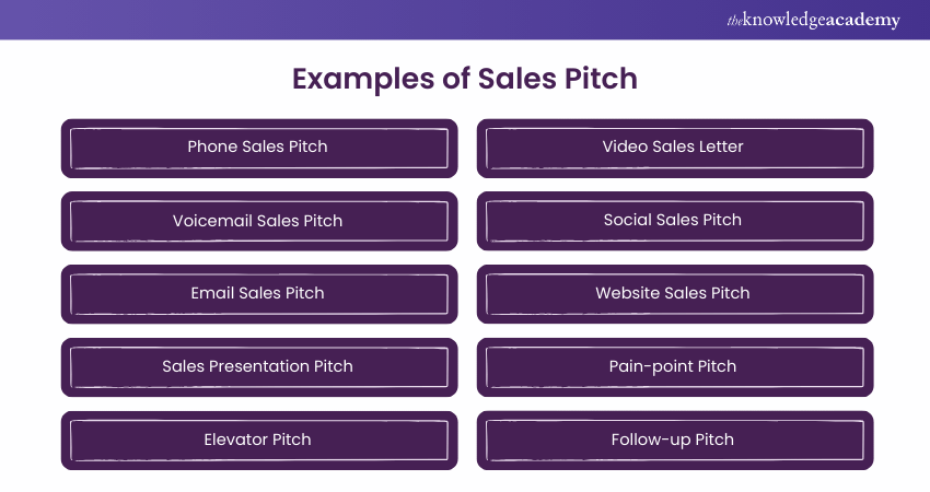 Examples of Sales Pitch