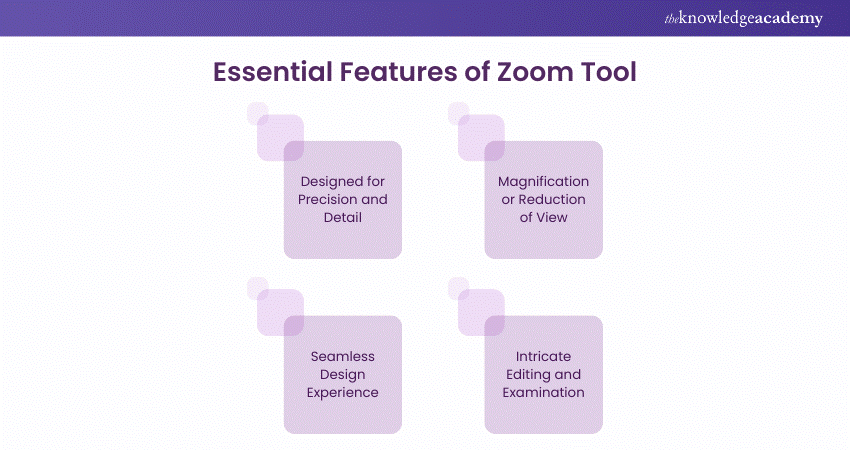 Explaining the Zoom Tool