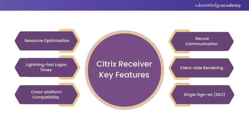 Features of Citrix Receiver