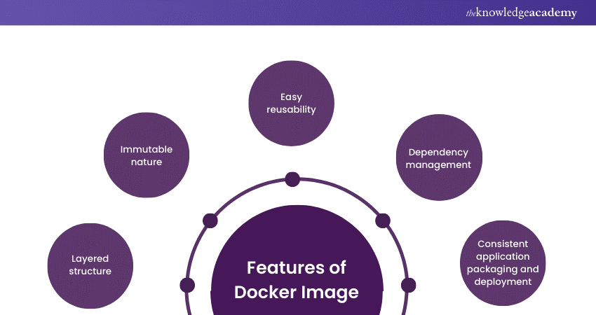 Features of Docker Image