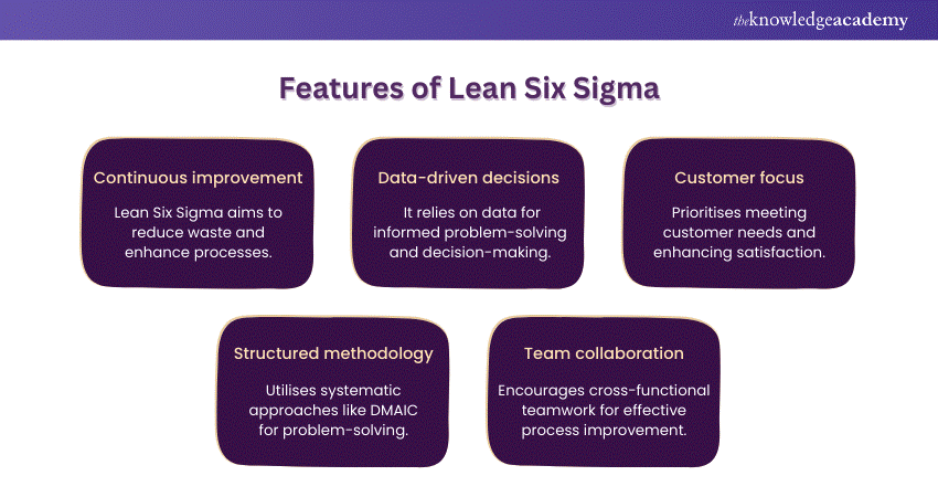 Features of Lean Six Sigma