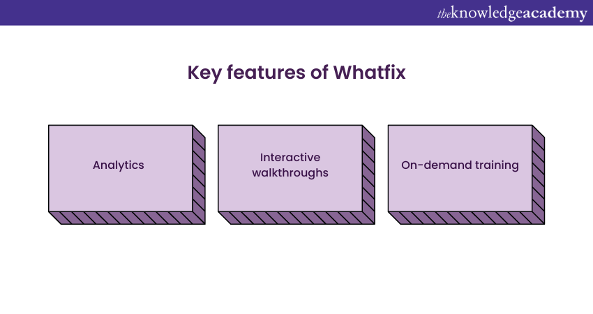  Features of Whatfix