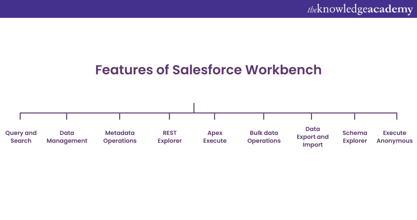 Features of Workbench in Salesforce