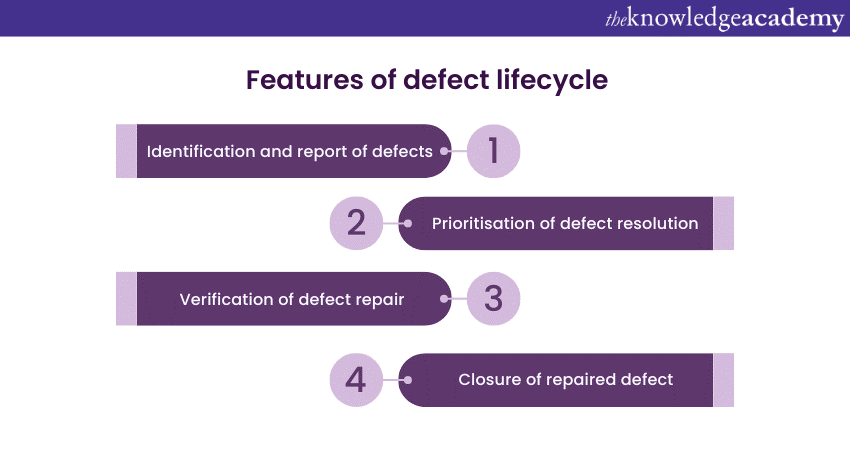 Features of defect lifecycle