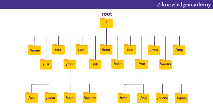 File system hierarchy in Linux