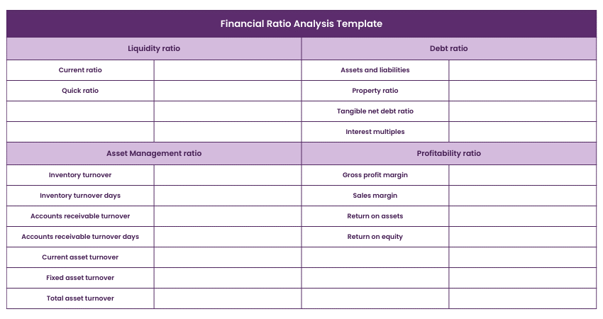 Financial ratio analysis template